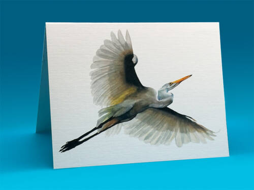 flying egret card